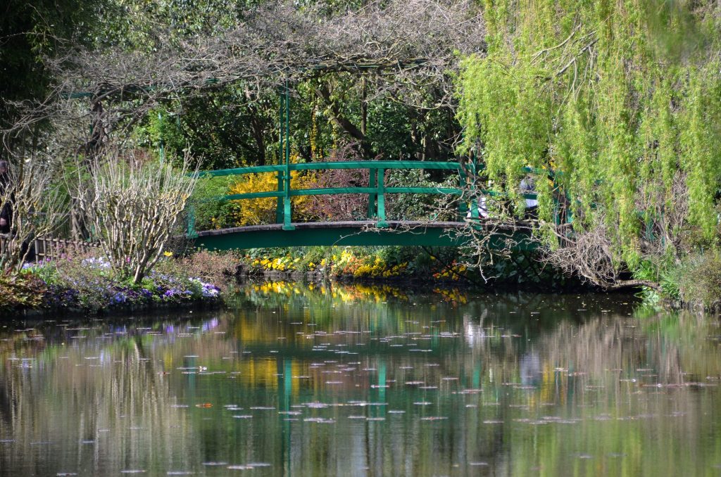 Bassin de jardin préformé